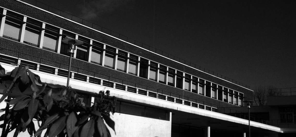 votre photo votre photo